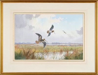 Lot 1029 - John Cyril Harrison (1898-1985) Snipe in...
