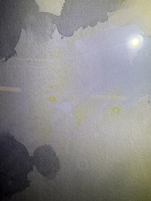 Lot 1029 - John Cyril Harrison (1898-1985) Snipe in...