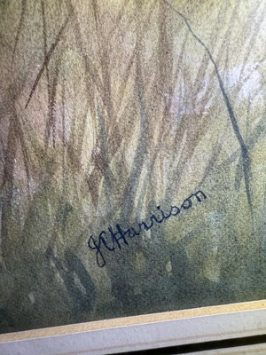 Lot 1029 - John Cyril Harrison (1898-1985) Snipe in...