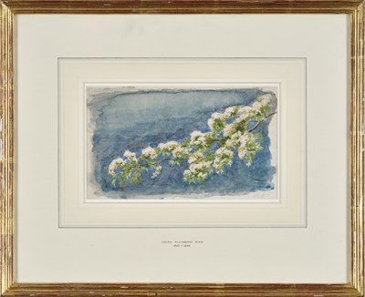 Lot 1025 - Helen Allingham RWS (1867-1926) Study of...