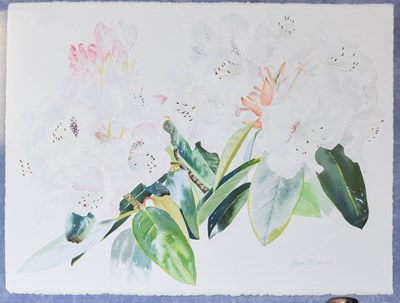Lot 1218 - British School (20th Century) Still life of...