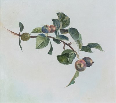Lot 1039 - Stephen J Darbishire RBA (b.1940) Stil life...