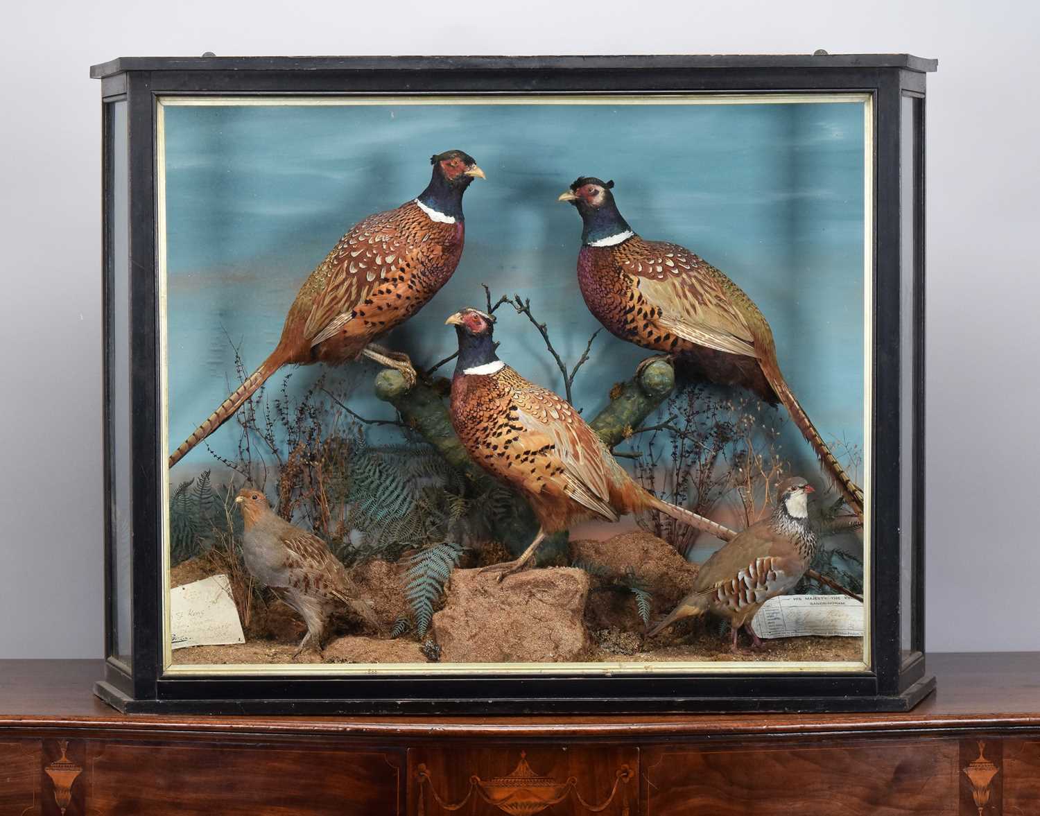 Lot 71 - Taxidermy: A Cased Edwardian Display of Game...