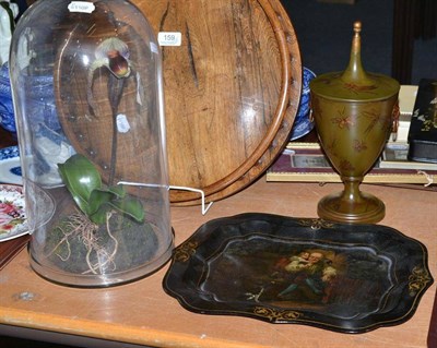 Lot 159 - A rosewood tray, an artificial orchid under glass dome, toleware tray and a toleware urn