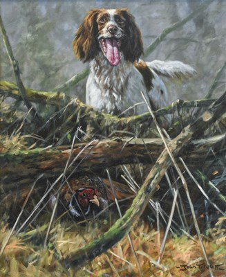 Lot 318 - John Trickett (b.1953) Springer and pheasant...
