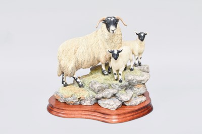 Lot 1047 - Border Fine Arts 'A Ewe and A Pair'...