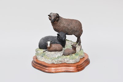 Lot 1073 - Border Fine Arts 'Shetland Sheep Family Group'...