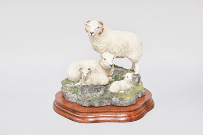 Lot 1071 - Border Fine Arts 'Shetland Sheep Family Group'...
