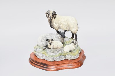Lot 1072 - Border Fine Arts 'Shetland Sheep Family Group'...
