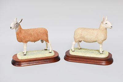 Lot 1052 - Border Fine Arts 'Border Leicester Tup', model...