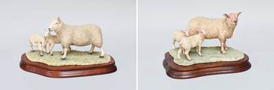 Lot 1061 - Border Fine Arts 'North Country Cheviot Ewe...
