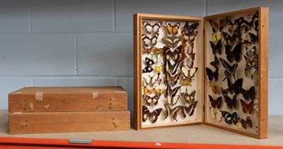 Lot 1306 - Entomology: Three Collectors Boxes of Tropical...