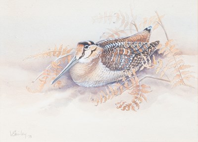 Lot 1036 - Valerie Leslie Shirley (Contemporary) Woodcock...