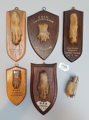Lot 1199 - Taxidermy: A Group of Mounted European Hare...