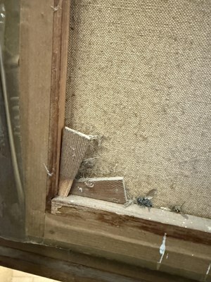 Lot 1044 - Florence Jay (fl.1905-1920) Head study of a...