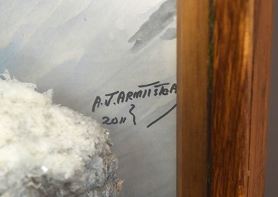 Lot 12 - Taxidermy: A Large Cased Golden Eagle (Aquila...