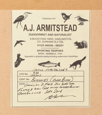 Lot 3 - Taxidermy: A Pair of Wall Cased Common...