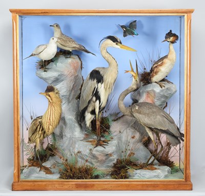 Lot Taxidermy: A Large Late Victorian Cased...
