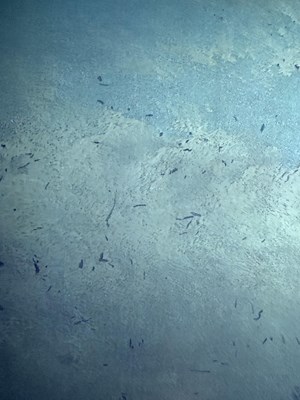 Lot 1076 - Henry Redmore (1820-1887) "Saltwick Bay,...