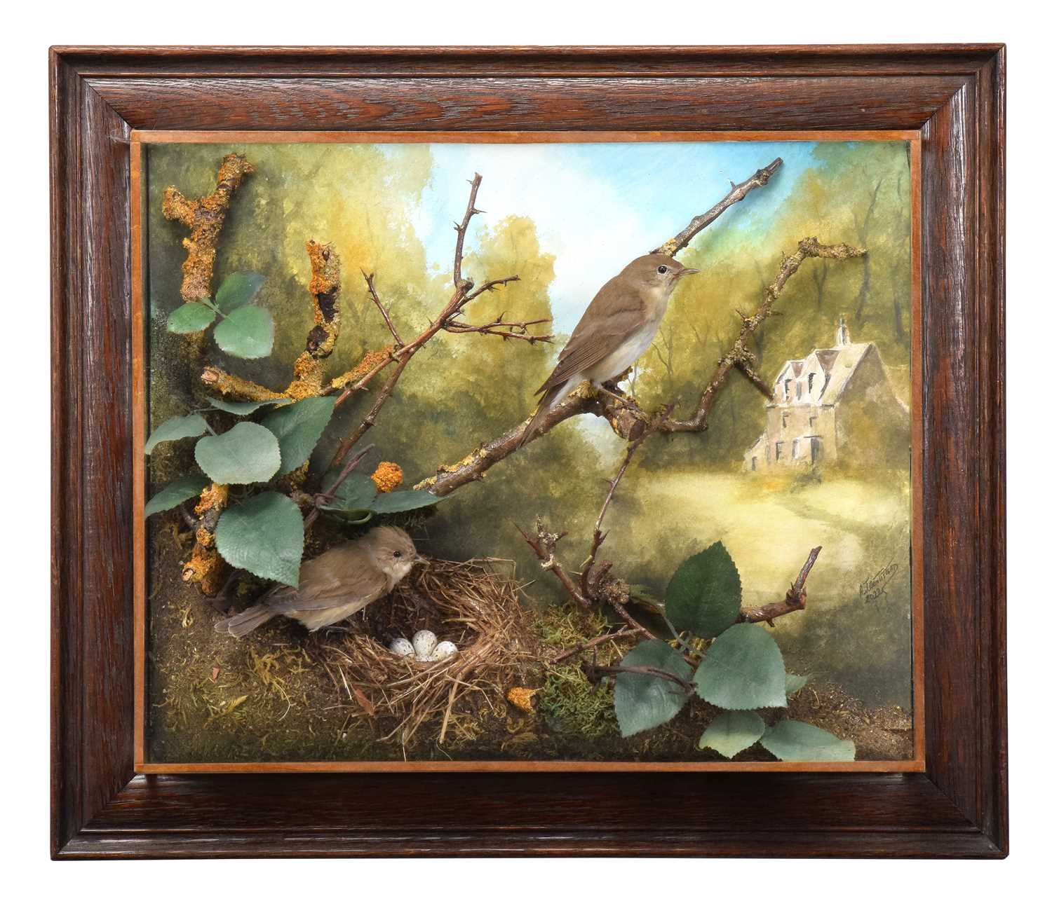 Lot 7 - Taxidermy: A Wall Cased Family Diorama of...
