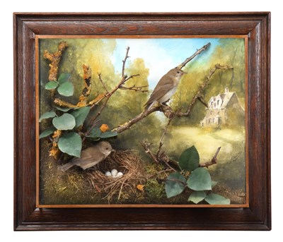 Lot Taxidermy: A Wall Cased Family Diorama of...