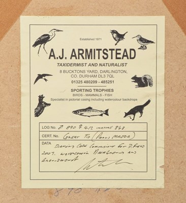 Lot 5 - Taxidermy: A Wall Cased Trio of Great Tits...