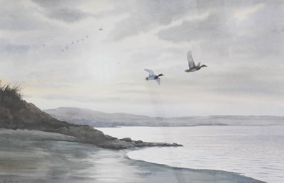 Lot 1083 - Owen Williams (Contemporary) Ducks in flight...