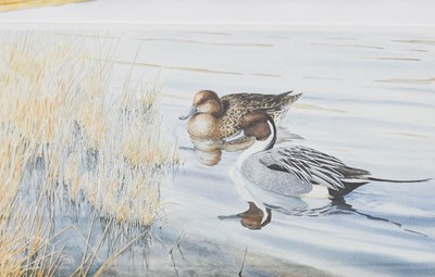 Lot 1084 - Owen Williams (Contemporary) Ducks on a pond...