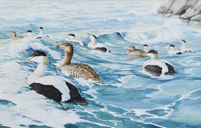 Lot 1085 - Owen Williams (Contemporary) Seabirds on the...