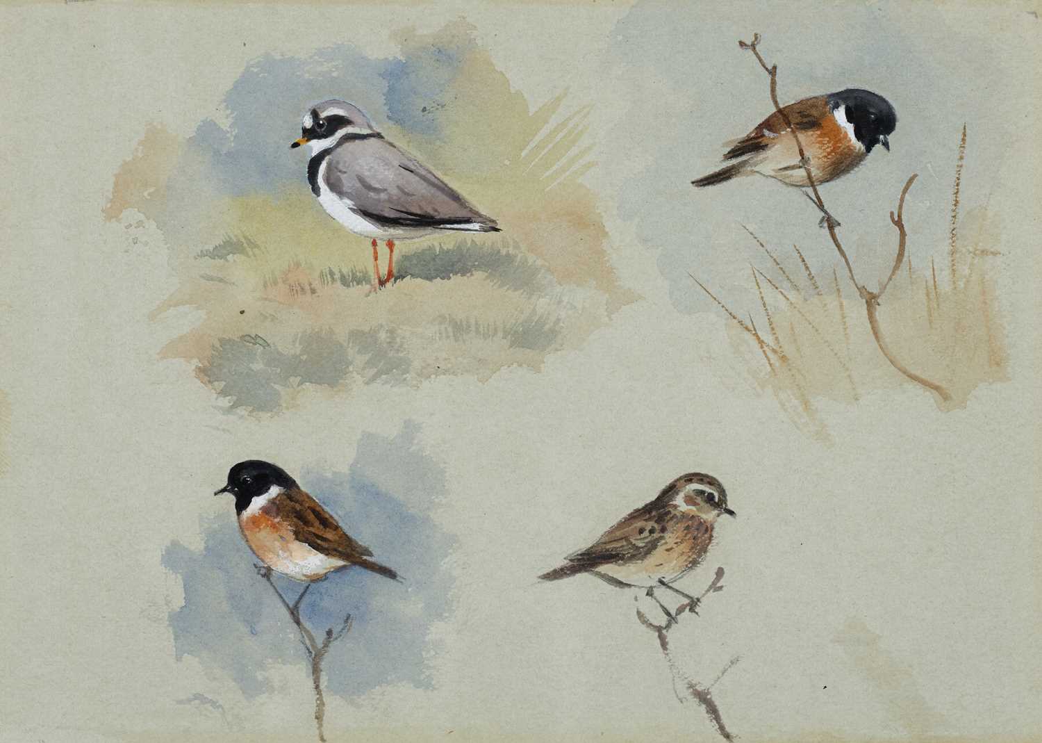 Lot 1037 - Archibald Thorburn FZS (1860-1935) Scottish...