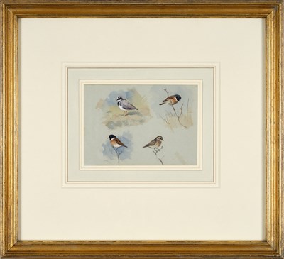 Lot 1037 - Archibald Thorburn FZS (1860-1935) Scottish...