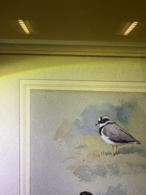 Lot 1037 - Archibald Thorburn FZS (1860-1935) Scottish...