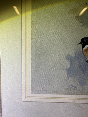 Lot 1037 - Archibald Thorburn FZS (1860-1935) Scottish...