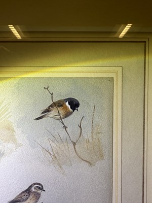 Lot 1037 - Archibald Thorburn FZS (1860-1935) Scottish...