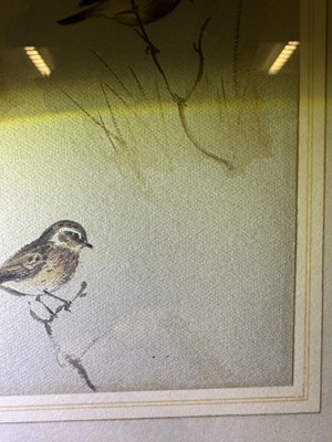 Lot 1037 - Archibald Thorburn FZS (1860-1935) Scottish...