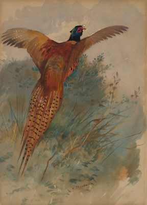 Lot 1038 - Archibald Thorburn FZS (1860-1935) Scottish...