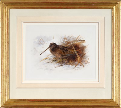 Lot 1036 - Archibald Thorburn FZS (1860-1935) Scottish...