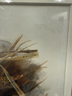 Lot 1036 - Archibald Thorburn FZS (1860-1935) Scottish...