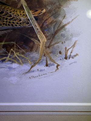 Lot 1036 - Archibald Thorburn FZS (1860-1935) Scottish...