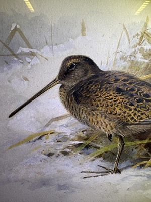 Lot 1036 - Archibald Thorburn FZS (1860-1935) Scottish...