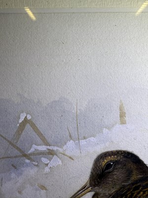 Lot 1036 - Archibald Thorburn FZS (1860-1935) Scottish...