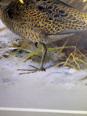 Lot 1036 - Archibald Thorburn FZS (1860-1935) Scottish...