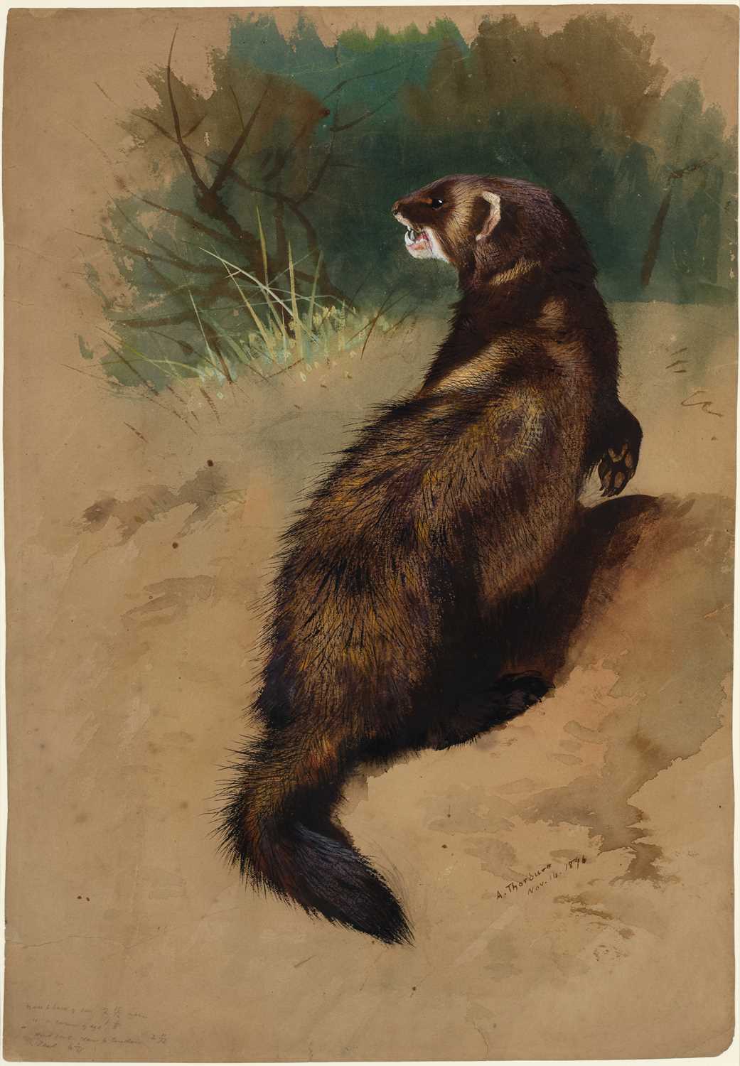 Lot 1041 - Archibald Thorburn FZS (1860-1935) Scottish A...