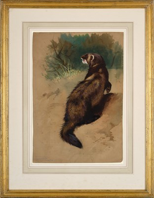 Lot 1041 - Archibald Thorburn FZS (1860-1935) Scottish A...