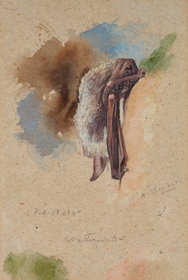 Lot 1039 - Archibald Thorburn FZS (1860-1935) Scottish...