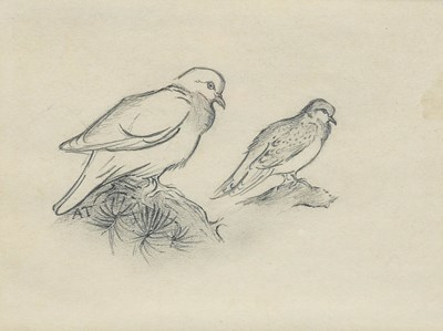 Lot Archibald Thorburn FZS (1860-1935) Scottish...