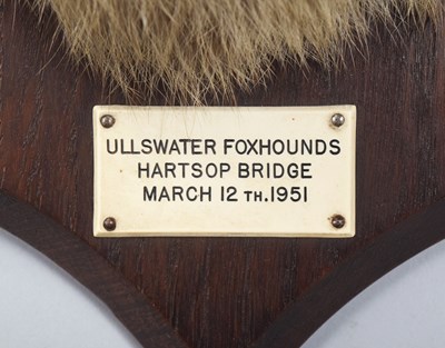 Lot 78 - Taxidermy: Red Fox Mask (Vulpes vulpes), dated...