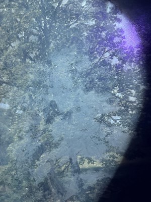 Lot 1054 - James Peel (1811-1906) "On the Lowther,...