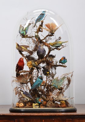 Lot Taxidermy: A Late Victorian Diorama of South...