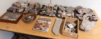 Lot 1287 - Natural History: A Large Collection of Various...